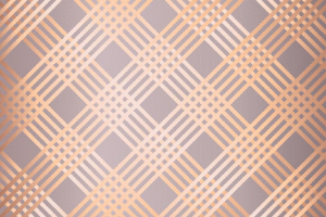 Champaign Checker Champaign Checker